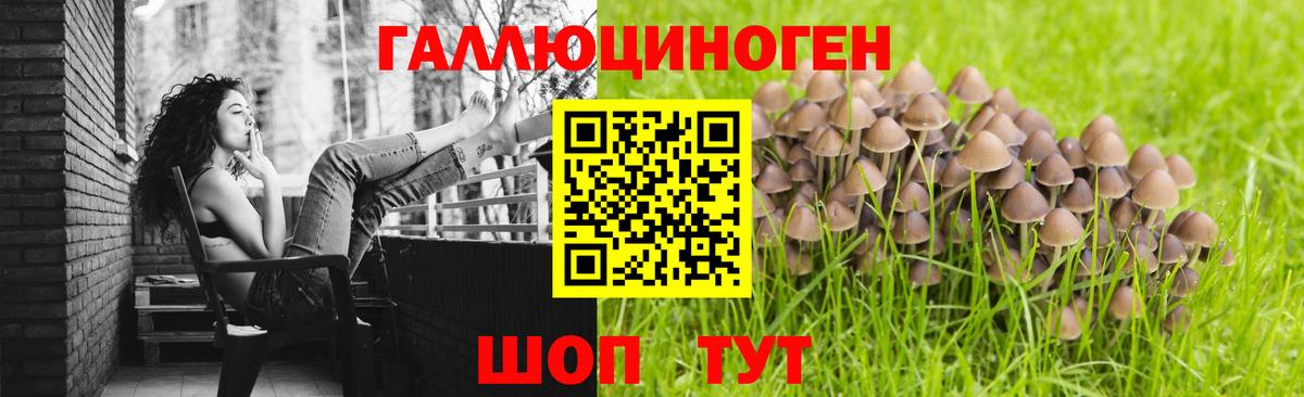 Галлюциногенные грибы GOLDEN TEACHER Наро-Фоминск